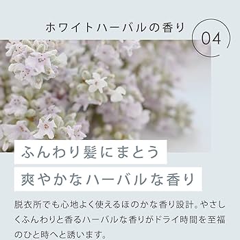 Amazon | SALONIA サロニア トリートメントミストドライヤー